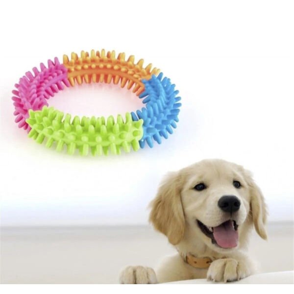 Köpek Isırma Diş Kaşıma Çemberi Şık Tasarımlı Fonksiyonel Ürün