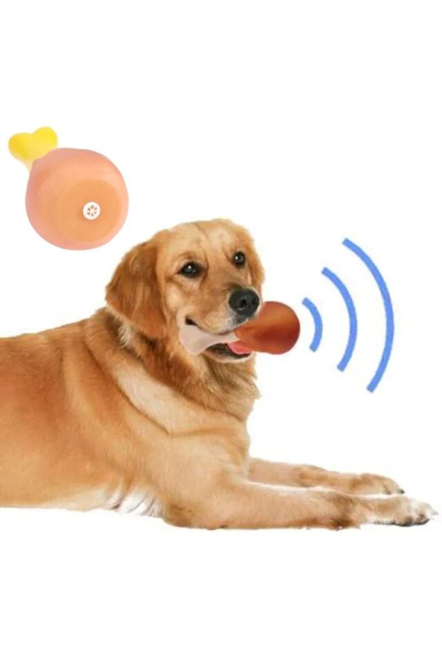 Köpekler İçin Sesli Oyuncak Tavuk Butu Şık Tasarımlı Fonksiyonel Ürün