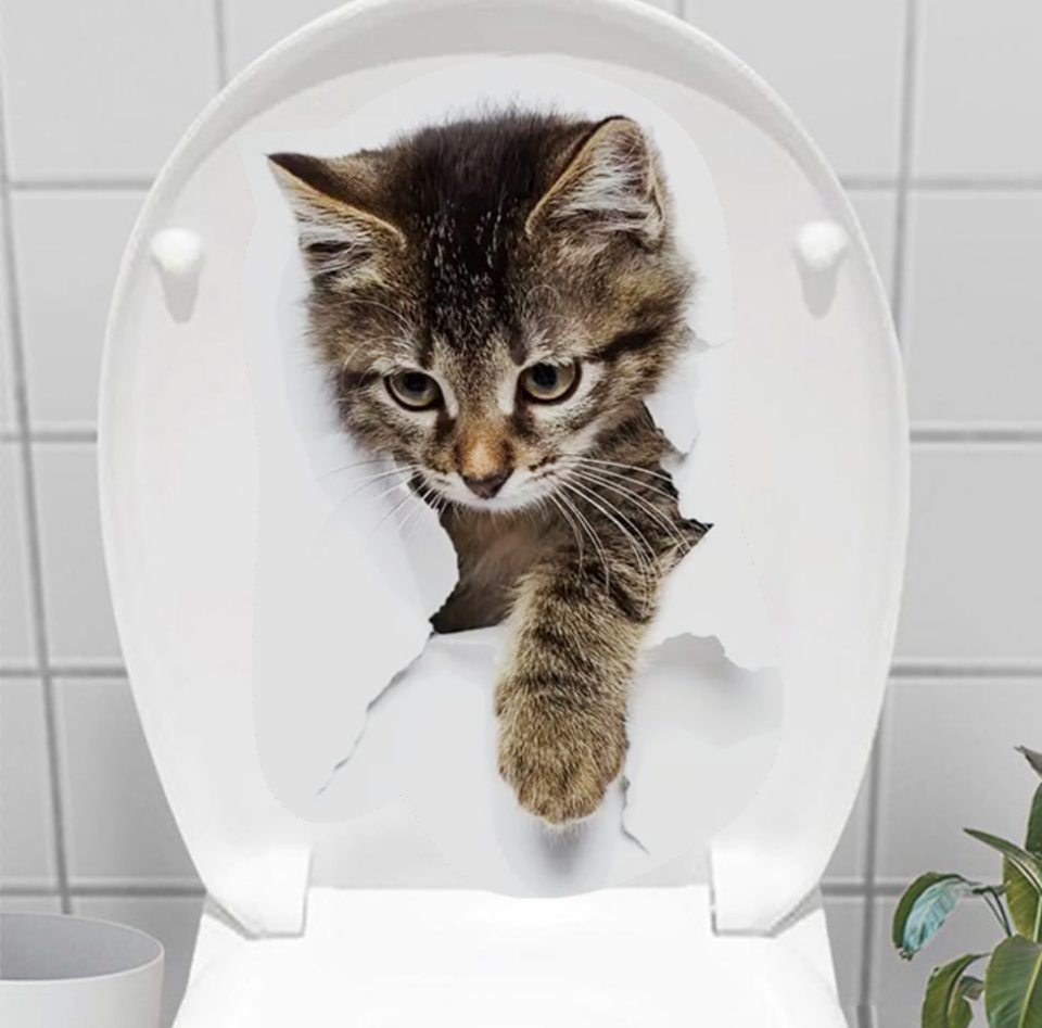 Decohandy Klozet Etiketi Stray Cat Şık Tasarımlı Fonksiyonel Ürün