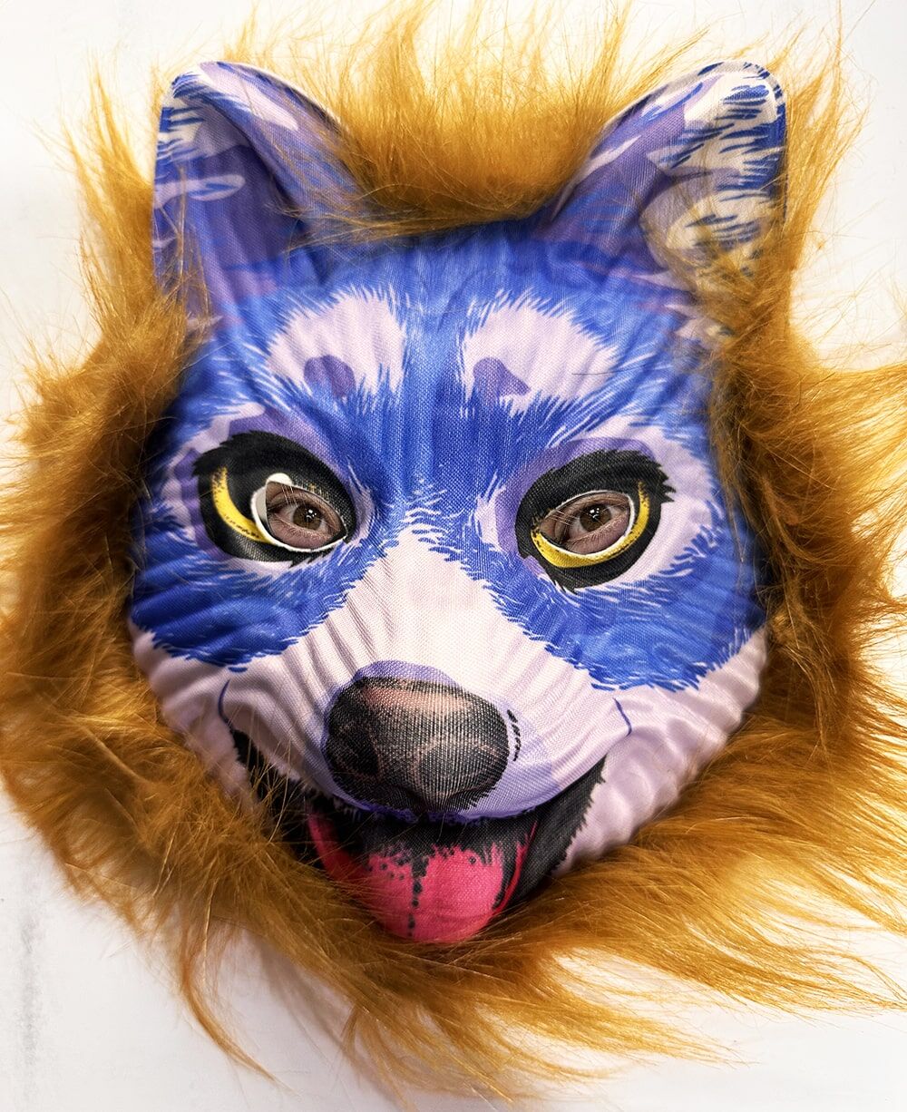 Kahverengi Saçlı Mavi Yüz Sevimli Köpek Maskesi 30 No Şık Tasarımlı Fonksiyonel Ürün