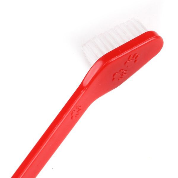 Plastik Köpek Diş Fırçası 4 Adet Şık Tasarımlı Fonksiyonel Ürün