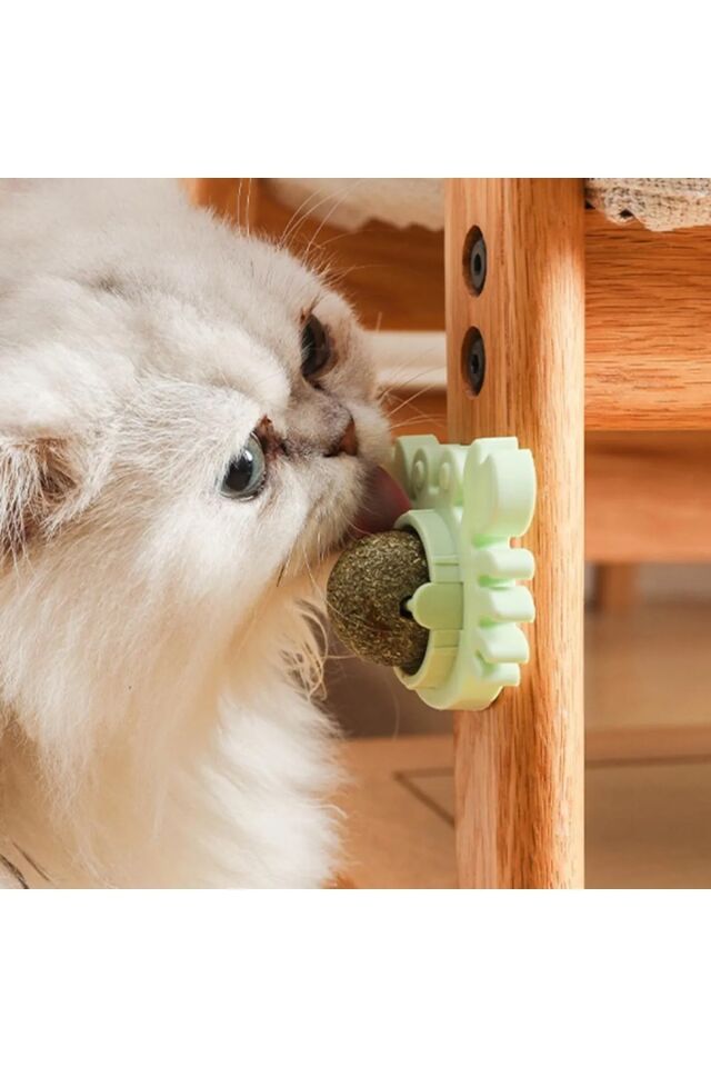 Yengeç Kedi Otu Oyun Topu Şık Tasarımlı Fonksiyonel Ürün