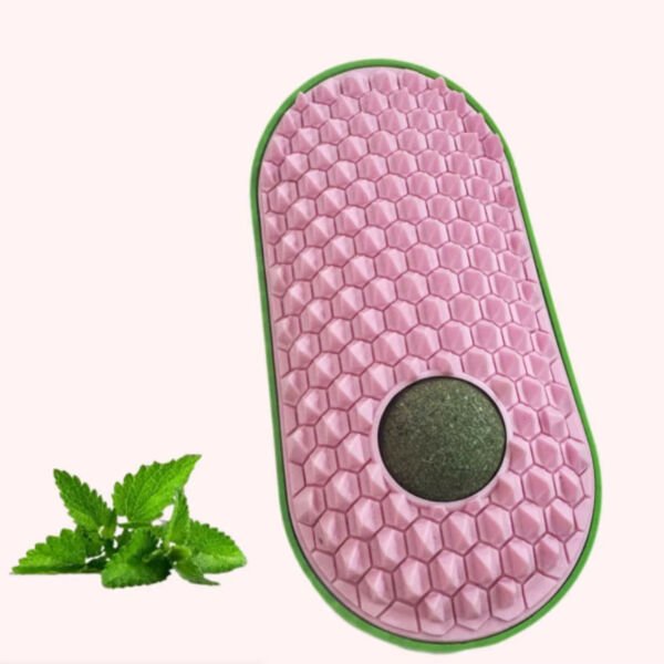 Silikon Kaşıyıcılı Kedi Otu Şık Tasarımlı Fonksiyonel Ürün