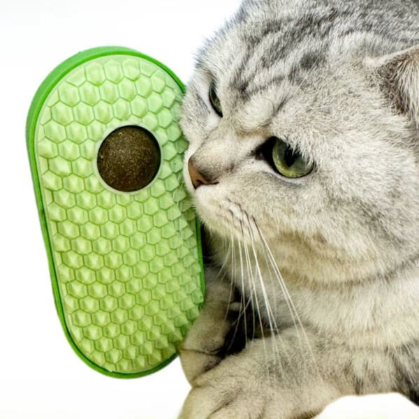 Silikon Kaşıyıcılı Kedi Otu Şık Tasarımlı Fonksiyonel Ürün