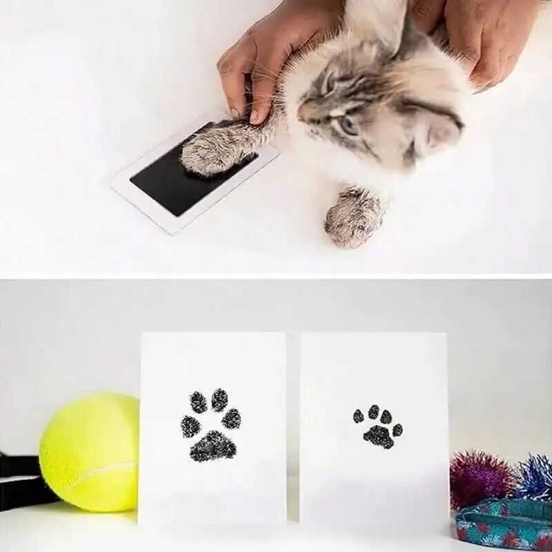 Kedi Köpek Pati İzi Fotoğraf Çerçevesi Seti Şık Tasarımlı Fonksiyonel Ürün