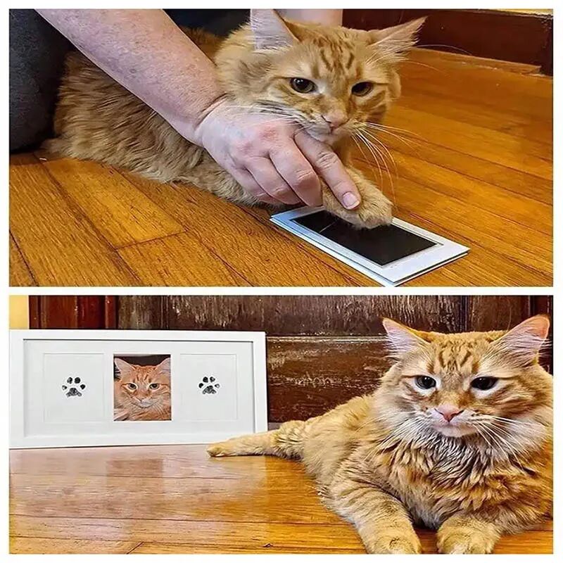 Kedi Köpek Pati İzi Fotoğraf Çerçevesi Seti Şık Tasarımlı Fonksiyonel Ürün