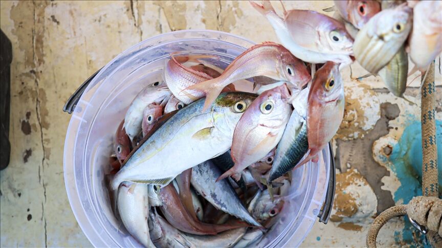 Misina İpi 300 Metre Şık Tasarımlı Fonksiyonel Ürün