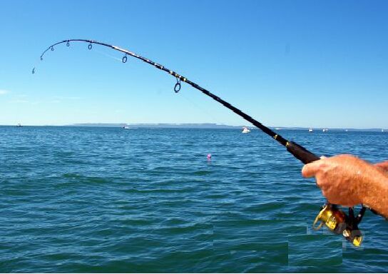 Misina İpi 300 Metre Şık Tasarımlı Fonksiyonel Ürün