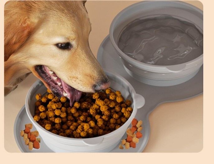 Mikopet Katlanabilir İkili Mama ve Su Kabı Şık Tasarımlı Fonksiyonel Ürün