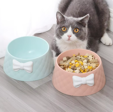 Mikopet Şık Desenli Fiyonklu Mama Kabı Şık Tasarımlı Fonksiyonel Ürün