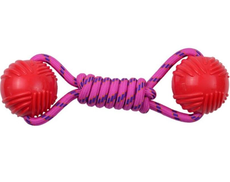 Köpekler İçin Dayanıklı Kauçuk Toplu Oyuncak Şık Tasarımlı Fonksiyonel Ürün