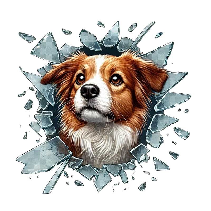 Fulcar Australian Shepherd Araç Stickerı Şık Tasarımlı Fonksiyonel Ürün