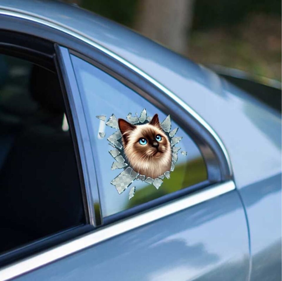 Fulcar Siamesse Araç Stickerı Şık Tasarımlı Fonksiyonel Ürün