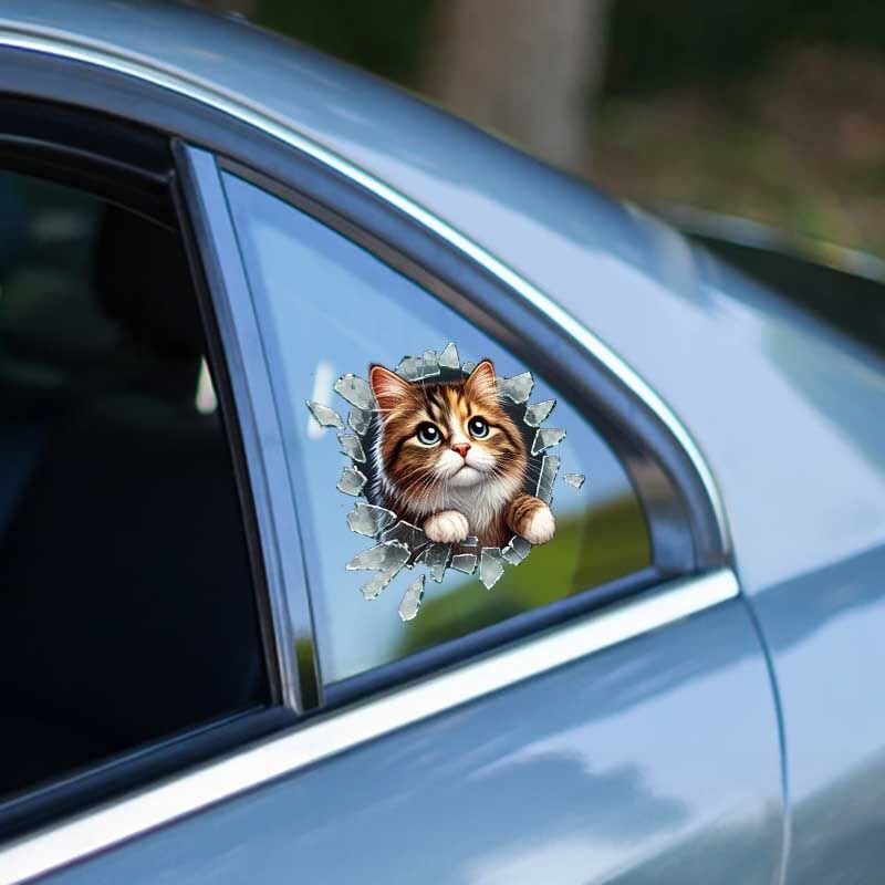 Fulcar Stray Araç Stickerı Şık Tasarımlı Fonksiyonel Ürün