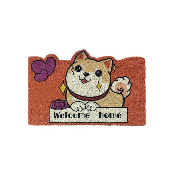 Sevimli Hayvan Tasarımlı Kapı Paspası Şık Tasarımlı Fonksiyonel Ürün