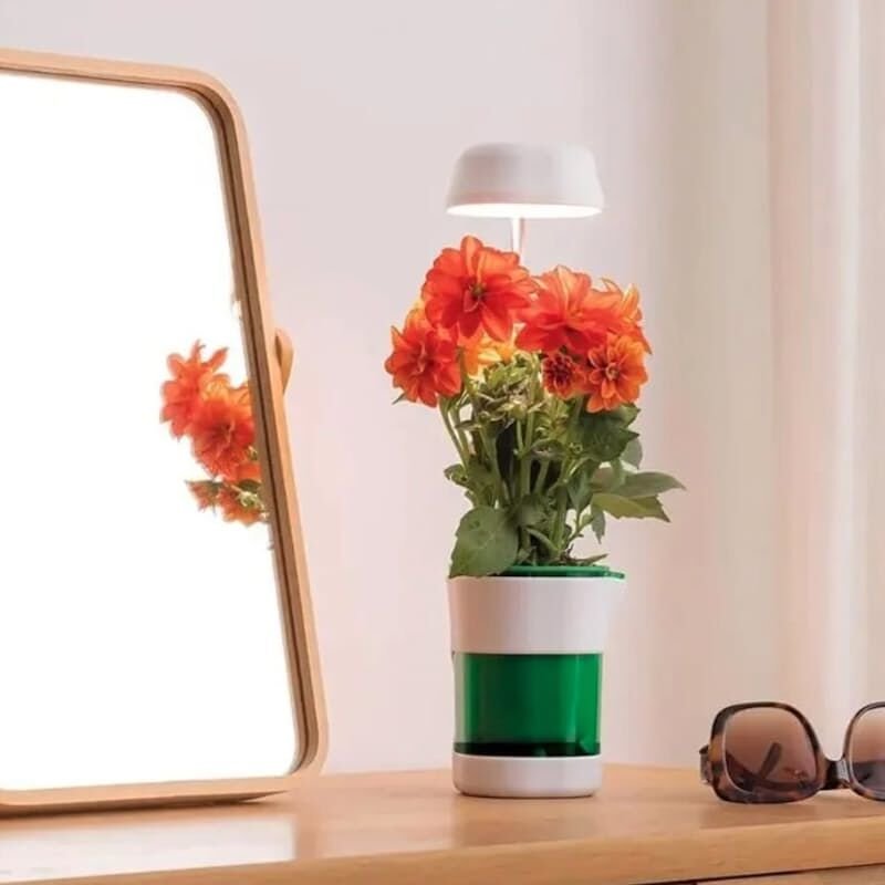 Hızlı Bitki Yetiştirme Saksısı Şık Tasarımlı Fonksiyonel Ürün