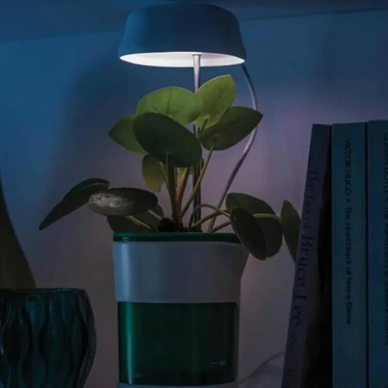 Hızlı Bitki Yetiştirme Saksısı Şık Tasarımlı Fonksiyonel Ürün