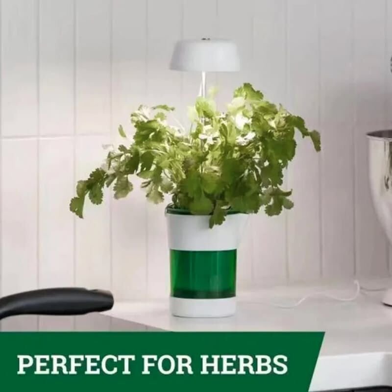 Hızlı Bitki Yetiştirme Saksısı Şık Tasarımlı Fonksiyonel Ürün