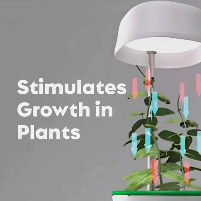 Hızlı Bitki Yetiştirme Saksısı Şık Tasarımlı Fonksiyonel Ürün