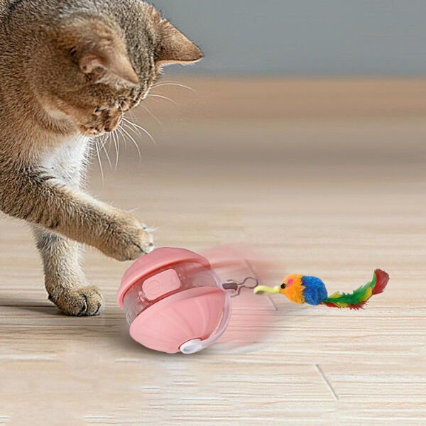 Şarjlı Hareketli Kedi Topu Oyuncak Şık Tasarımlı Fonksiyonel Ürün