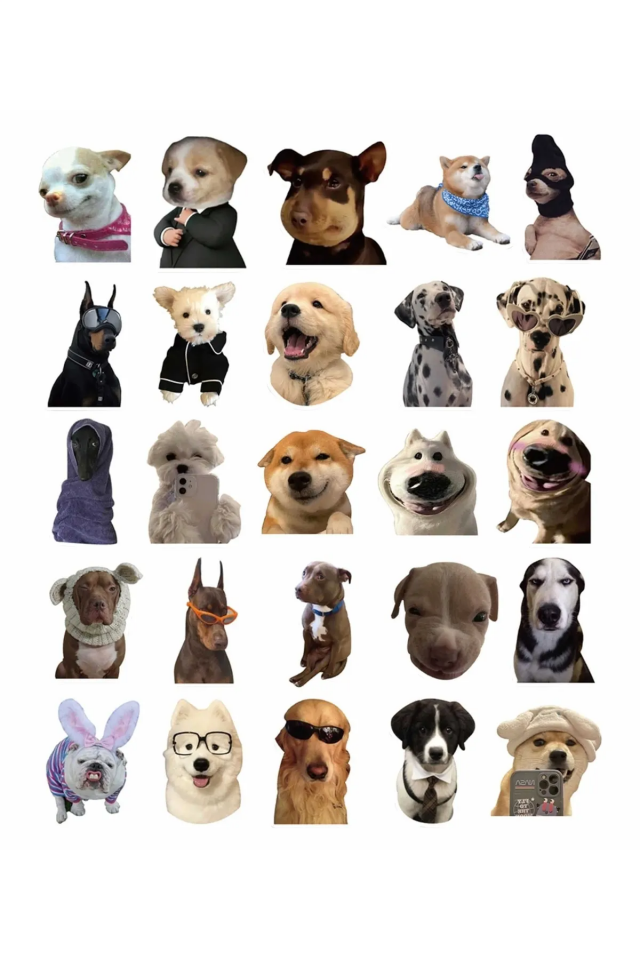 Sevimli Köpek Çıkartmaları Laptop Notebook Tablet Sticker Seti Şık Tasarımlı Fonksiyonel Ürün
