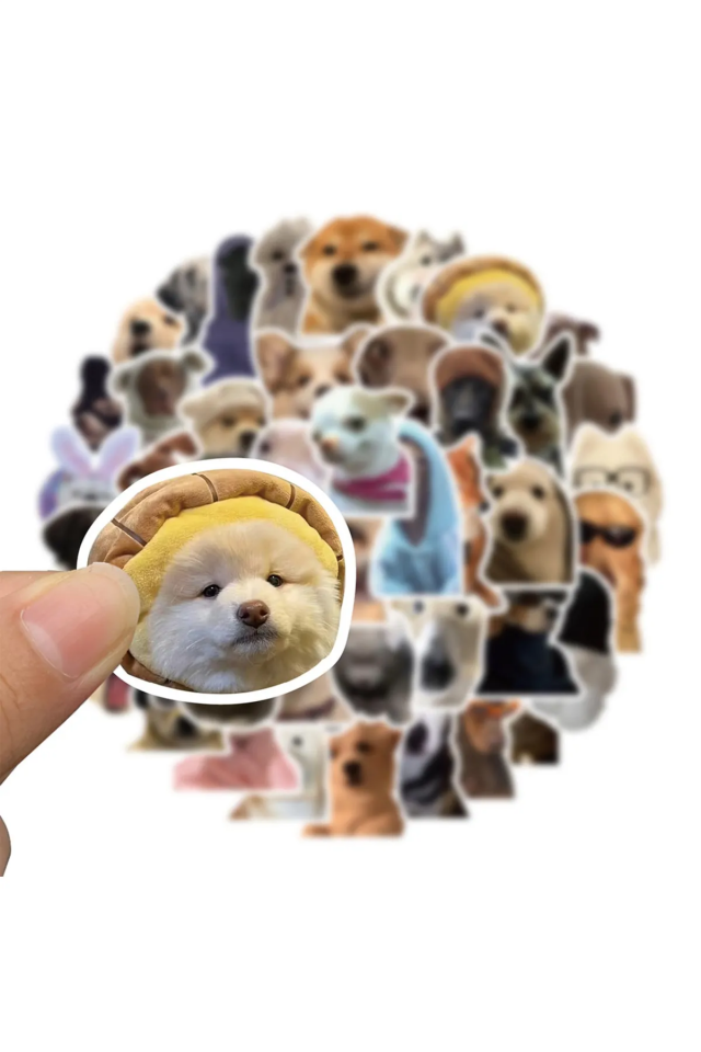 Sevimli Köpek Çıkartmaları Laptop Notebook Tablet Sticker Seti Şık Tasarımlı Fonksiyonel Ürün
