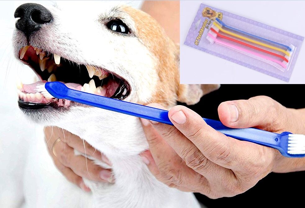 ÇIFT TARAFLI HAYVAN DIŞ FİRÇASI 4 LÜ SET Şık Tasarımlı Fonksiyonel Ürün